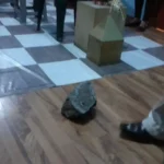 Fellowcraft degree initiation ceremony demonstrating Masonic ritual progression